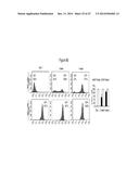 ASSAY FOR SCREENING COMPOUNDS THAT SELECTIVELY DECREASE THE NUMBER OF     CANCER STEM CELLS diagram and image