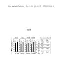 ASSAY FOR SCREENING COMPOUNDS THAT SELECTIVELY DECREASE THE NUMBER OF     CANCER STEM CELLS diagram and image