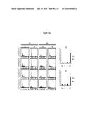 ASSAY FOR SCREENING COMPOUNDS THAT SELECTIVELY DECREASE THE NUMBER OF     CANCER STEM CELLS diagram and image