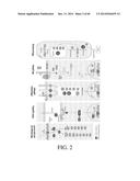 MARKERS ASSOCIATED WITH CHRONIC LYMPHOCYTIC LEUKEMIA PROGNOSIS AND     PROGRESSION diagram and image