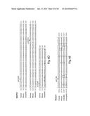 MARKERS ASSOCIATED WITH CHRONIC LYMPHOCYTIC LEUKEMIA PROGNOSIS AND     PROGRESSION diagram and image