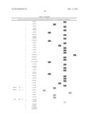 MARKERS ASSOCIATED WITH CHRONIC LYMPHOCYTIC LEUKEMIA PROGNOSIS AND     PROGRESSION diagram and image