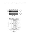 MARKERS ASSOCIATED WITH CHRONIC LYMPHOCYTIC LEUKEMIA PROGNOSIS AND     PROGRESSION diagram and image