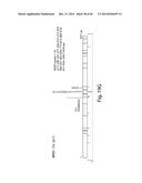 MARKERS ASSOCIATED WITH CHRONIC LYMPHOCYTIC LEUKEMIA PROGNOSIS AND     PROGRESSION diagram and image