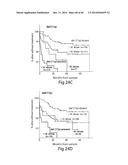 MARKERS ASSOCIATED WITH CHRONIC LYMPHOCYTIC LEUKEMIA PROGNOSIS AND     PROGRESSION diagram and image