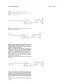 THIAZOLIDINEDIONE DERIVATIVES, PREPARATION THEREOF AND USE THEREOF IN     CANCER TREATMENT diagram and image