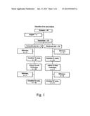 METHOD FOR TREATING OBESITY diagram and image