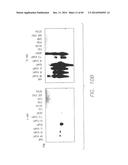 PSCA: PROSTATE STEM CELL ANTIGEN AND USES THEREOF diagram and image