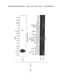 PSCA: PROSTATE STEM CELL ANTIGEN AND USES THEREOF diagram and image