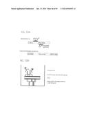 PSCA: PROSTATE STEM CELL ANTIGEN AND USES THEREOF diagram and image