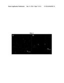 ARTIFICIAL LIPID-POLYMER-DNA COMPLEX, BIOIMAGING AGENT AND PREPARATION     METHOD THEREOF diagram and image