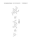 COMPOUNDS OF 3-(5-SUSTITUTED OXY-2, 4-DINITROPHENYL)-2-OXO-PROPIONIC ACID     ESTER, SYNTHESIS AND APPLICATIONS THEREOF diagram and image