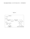 MICROBIAL PRODUCTION OF 3,4-DIHYDROXYBUTYRATE (3,4-DHBA), 2,3-     DIHYDROXYBUTYRATE (2,3-DHBA) AND 3-HYDROXYBUTYROLACTONE (3-HBL) diagram and image