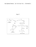 MICROBIAL PRODUCTION OF 3,4-DIHYDROXYBUTYRATE (3,4-DHBA), 2,3-     DIHYDROXYBUTYRATE (2,3-DHBA) AND 3-HYDROXYBUTYROLACTONE (3-HBL) diagram and image