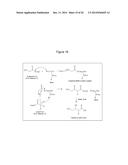 MICROBIAL PRODUCTION OF 3,4-DIHYDROXYBUTYRATE (3,4-DHBA), 2,3-     DIHYDROXYBUTYRATE (2,3-DHBA) AND 3-HYDROXYBUTYROLACTONE (3-HBL) diagram and image