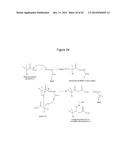 MICROBIAL PRODUCTION OF 3,4-DIHYDROXYBUTYRATE (3,4-DHBA), 2,3-     DIHYDROXYBUTYRATE (2,3-DHBA) AND 3-HYDROXYBUTYROLACTONE (3-HBL) diagram and image