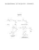 MICROBIAL PRODUCTION OF 3,4-DIHYDROXYBUTYRATE (3,4-DHBA), 2,3-     DIHYDROXYBUTYRATE (2,3-DHBA) AND 3-HYDROXYBUTYROLACTONE (3-HBL) diagram and image