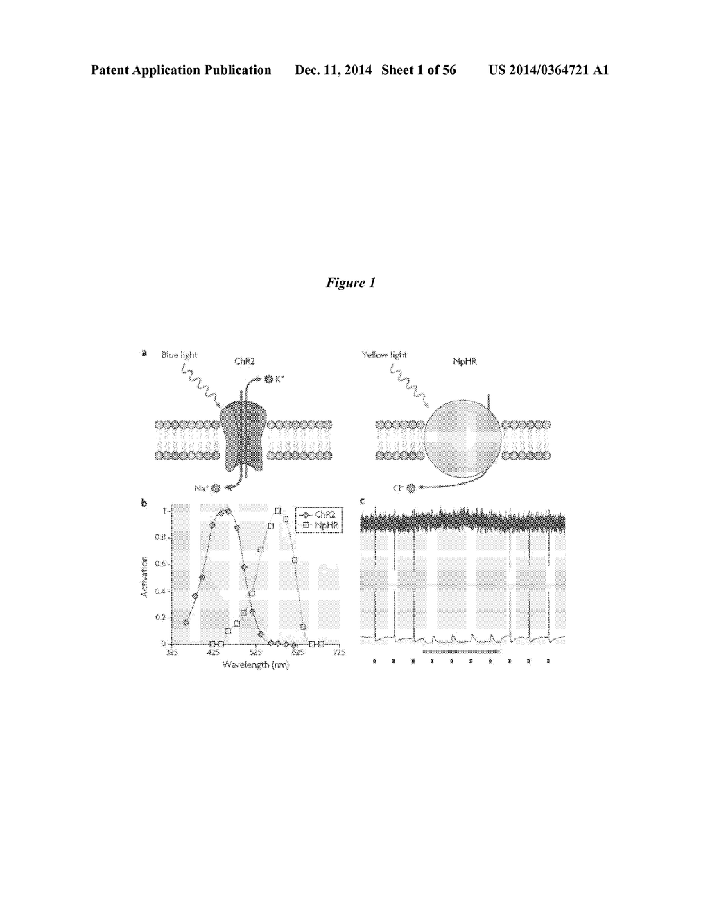 IN VIVO VISUALIZATION AND CONTROL OF PATHOLIGICAL CHANGES IN NEURAL     CIRCUITS - diagram, schematic, and image 02