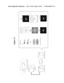 IN VIVO VISUALIZATION AND CONTROL OF PATHOLIGICAL CHANGES IN NEURAL     CIRCUITS diagram and image