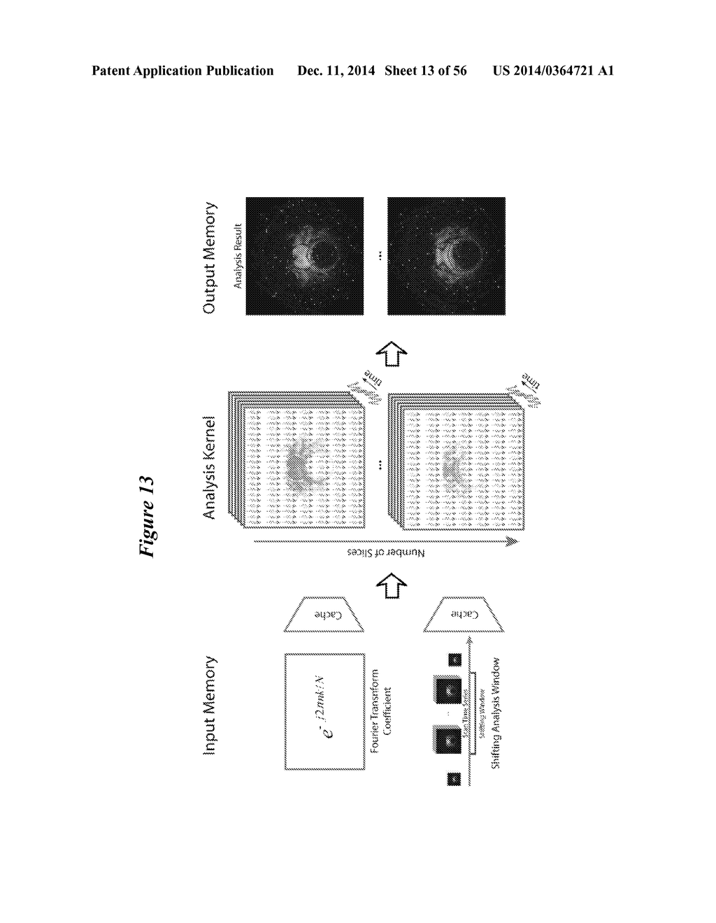 IN VIVO VISUALIZATION AND CONTROL OF PATHOLIGICAL CHANGES IN NEURAL     CIRCUITS - diagram, schematic, and image 14