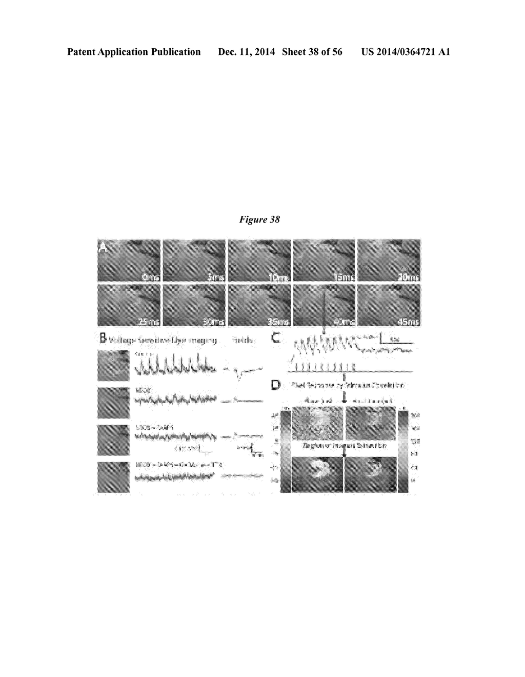 IN VIVO VISUALIZATION AND CONTROL OF PATHOLIGICAL CHANGES IN NEURAL     CIRCUITS - diagram, schematic, and image 39