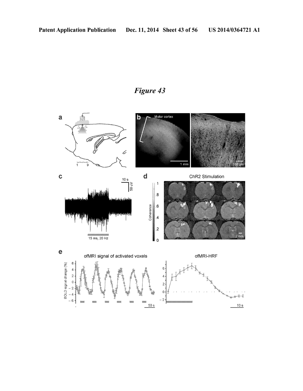 IN VIVO VISUALIZATION AND CONTROL OF PATHOLIGICAL CHANGES IN NEURAL     CIRCUITS - diagram, schematic, and image 44