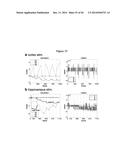 IN VIVO VISUALIZATION AND CONTROL OF PATHOLIGICAL CHANGES IN NEURAL     CIRCUITS diagram and image