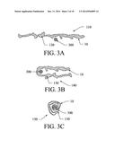 EXCLUSION DEVICE AND SYSTEM FOR DELIVERY diagram and image