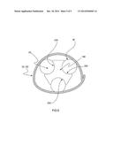 CONTAINER FOR BIOPHARMACEUTICAL CONTENT diagram and image