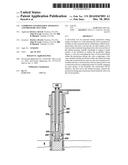 Combined Anti-Rotation Apparatus and Pressure Test Tool diagram and image