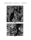 NOVEL BIOCATALYST COMPOSITIONS AND PROCESSES FOR USE diagram and image