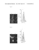 HIGH RESOLUTION LIGHT MICROSCOPE diagram and image