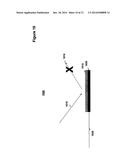 DEVICE AND SYSTEM FOR REFLECTIVE DIGITAL LIGHT PROCESSING (DLP) diagram and image