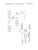 NOVEL MATERIALS AND METHODS FOR DISPERSING NANO PARTICLES IN MATRICES WITH     HIGH QUANTUM YIELDS AND STABILITY diagram and image