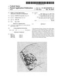 Medical Image Processing Apparatus, Method and Program diagram and image