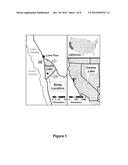 METHODS FOR DUST CONTROL ON SALINE DRY LAKEBEDS USING MINIMAL WATER     RESOURCES diagram and image