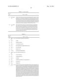 Antibodies diagram and image