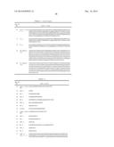 Antibodies diagram and image