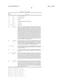 Antibodies diagram and image