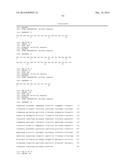 Antibodies diagram and image