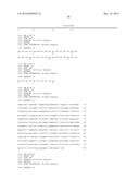 Antibodies diagram and image