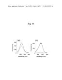 LIPOSOME COMPOSITE BODY diagram and image