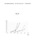 LIPOSOME COMPOSITE BODY diagram and image