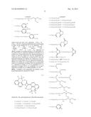 LIPOSOME COMPOSITE BODY diagram and image