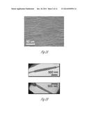 D, L-CYCLIC PEPTIDE NANOTUBE REINFORCING AGENTS diagram and image