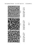 D, L-CYCLIC PEPTIDE NANOTUBE REINFORCING AGENTS diagram and image