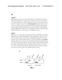 CONJUGATES OF GM-CSF AND IL-7, COMPOSITIONS AND METHODS RELATED THERETO diagram and image