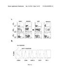 CONJUGATES OF GM-CSF AND IL-7, COMPOSITIONS AND METHODS RELATED THERETO diagram and image