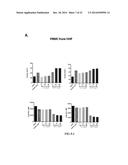 CONJUGATES OF GM-CSF AND IL-7, COMPOSITIONS AND METHODS RELATED THERETO diagram and image