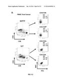 CONJUGATES OF GM-CSF AND IL-7, COMPOSITIONS AND METHODS RELATED THERETO diagram and image